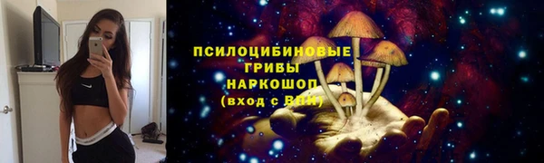 ECSTASY Богородицк